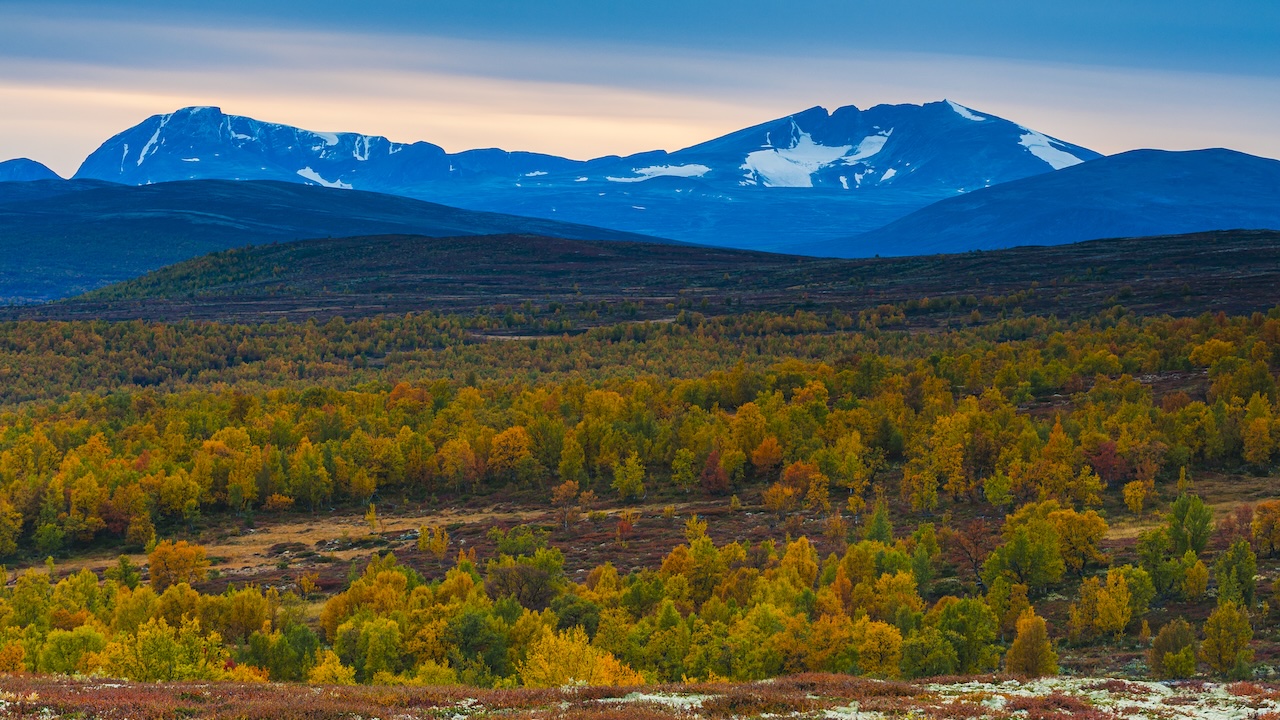 Hardangervidda Villmarkspadling & Vandring