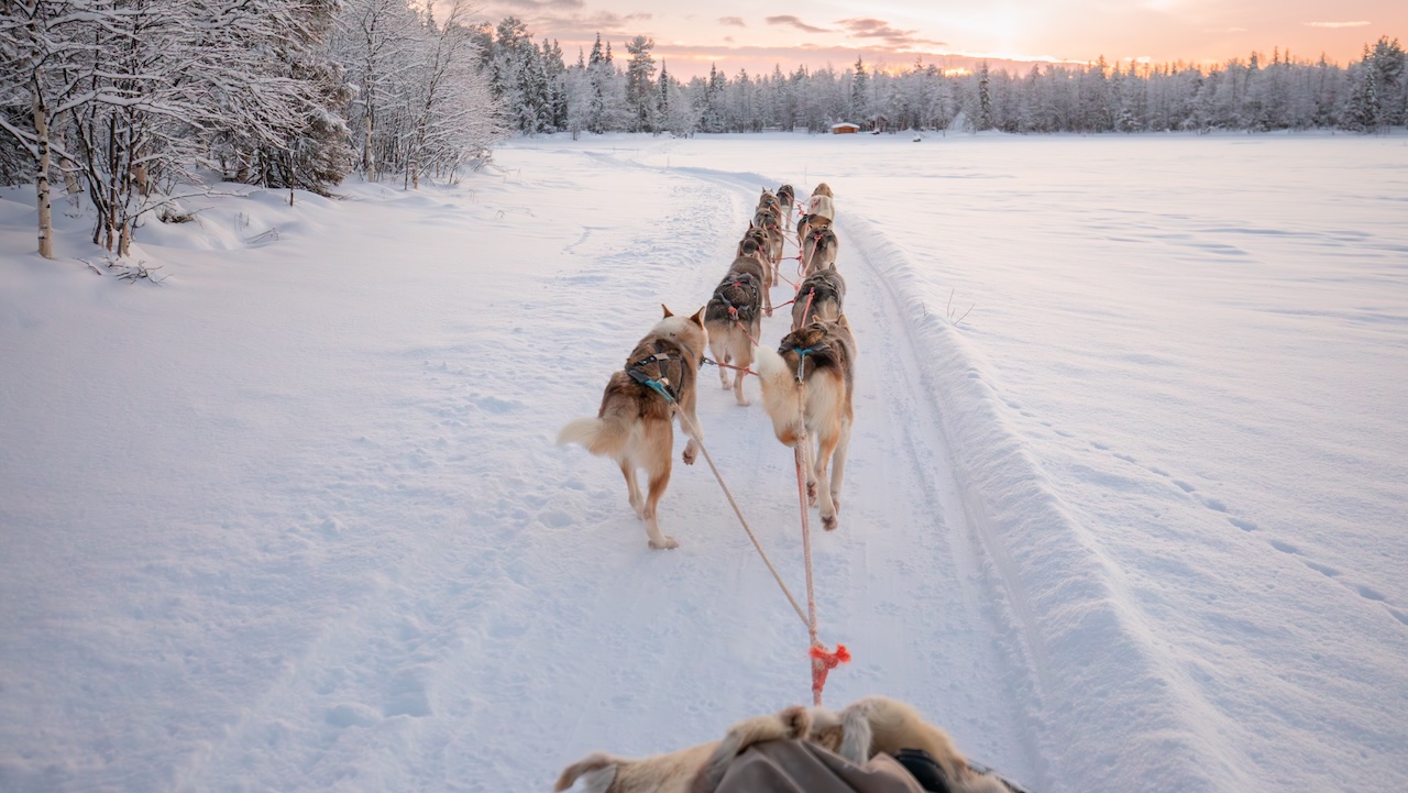 Corporate events in winter wilderness